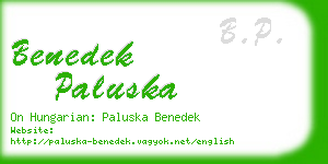 benedek paluska business card